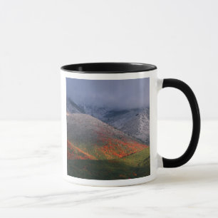 Three seasons of foliage, red maples and fall mug