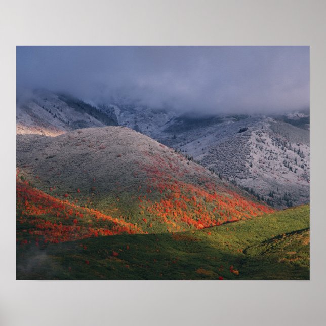 Three seasons of foliage, red maples and fall poster (Front)