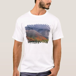 Three seasons of foliage, red maples and fall T-Shirt