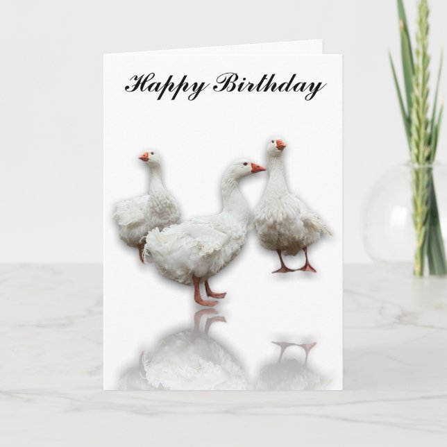 THREE SEBASTOPOL GEESE ON WHITE GREETING CARD (Front)