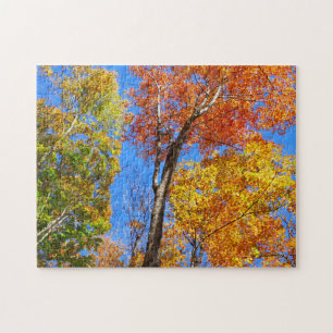 Three Shades of Colourful Fall Maple Trees Jigsaw Puzzle