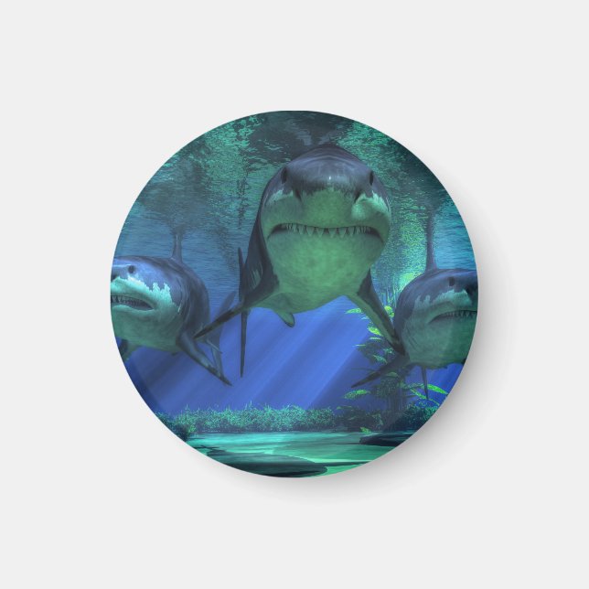 Three Sharks Magnet (Front)