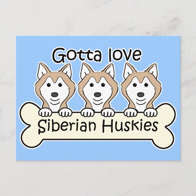 Three Siberian Huskies Postcard (Front)