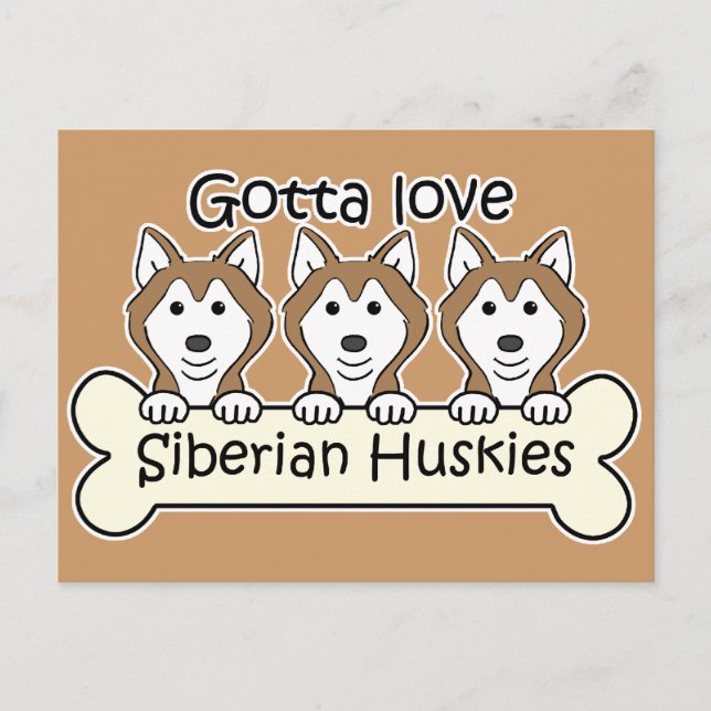 Three Siberian Huskies Postcard (Front)