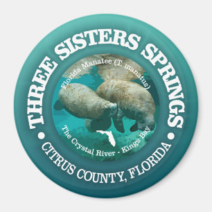 Three Sisters Springs (rd) Magnet