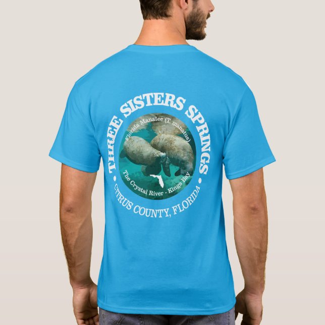 Three Sisters Springs (rd) T-Shirt (Back)