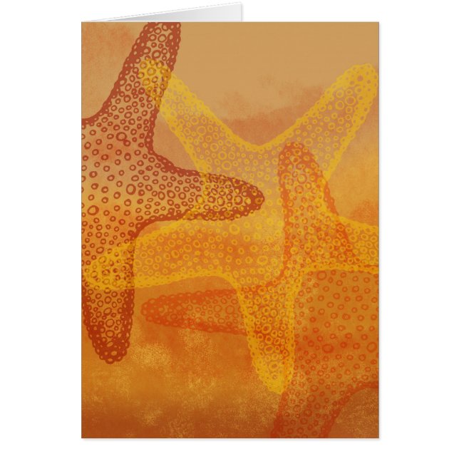 Three starfish (Front)