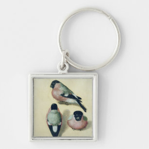 Three studies of a bullfinch key ring