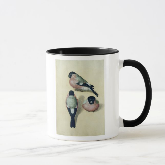 Three studies of a bullfinch mug (Right)