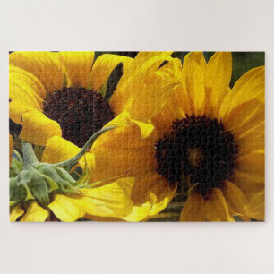 Three Sunflowers Botanical Art Photography Jigsaw Puzzle