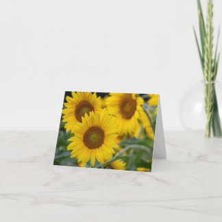 Three Sunflowers Folded Thank You Card