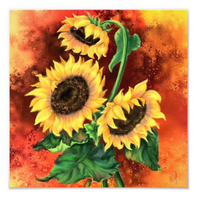 Three Sunflowers Poster (Front)