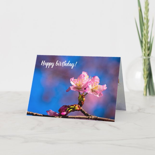 Three Sunlit Sakura Flowers On A Sunny Spring Day Card (Front)