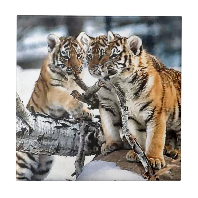 Three Tiger Cubs At Play Ceramic Tile (Front)