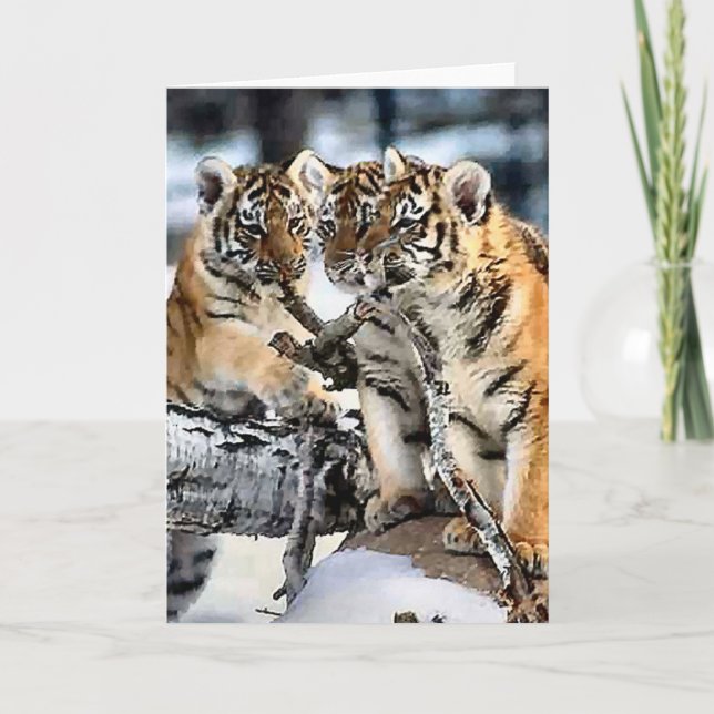 Three Tiger Cubs In Snow Art Gifts Card (Front)