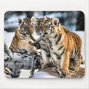 Three Tiger Cubs In Snow Art Gifts Mouse Pad