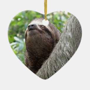 Three Toed Sloth Ornament