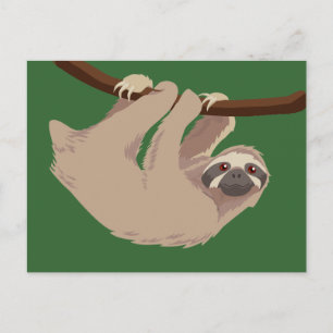 Three Toed Sloth Postcard
