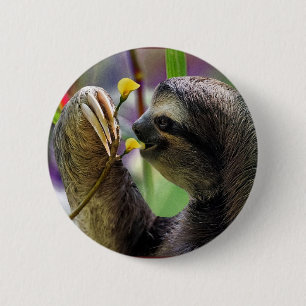 Three-Toed Tree Sloth 6 Cm Round Badge