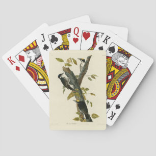 Three-toed Woodpecker - Audubon's Birds of America Playing Cards