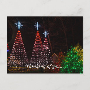 Three Trees At Midtown Postcard