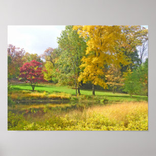 THREE TREES: ROSY RED; GOLDEN YELLOW; LIME GREEN POSTER