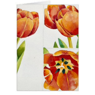 Three tulip studies in a sure 2013