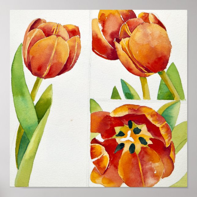 Three tulip studies in a sure 2013 poster (Front)