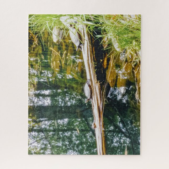 Three Turtles on a Log Puzzle (Vertical)
