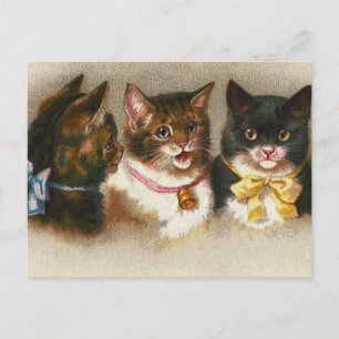 "Three Vintage Cats" Postcard