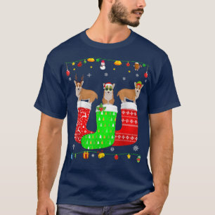 Three Welsh Corgi In Christmas Socks Matching Xmas T-Shirt