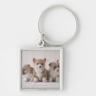 Three Welsh Corgi Key Ring