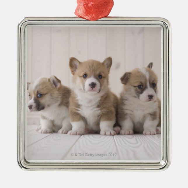 Three Welsh Corgi Metal Ornament (Front)