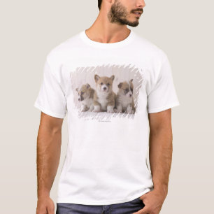 Three Welsh Corgi T-Shirt