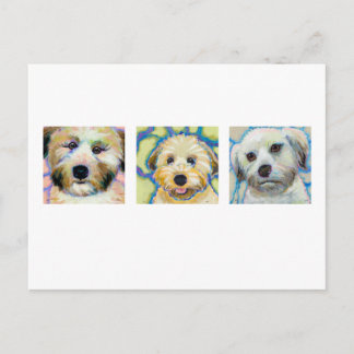 Three Wheaten Terrier paintings - fun dog art Postcard