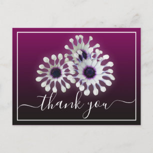 Three White Daisies Purple Background Thank You Postcard