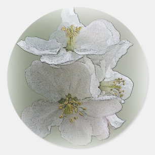 three white flowers classic round sticker