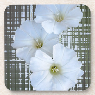 three white flowers coaster
