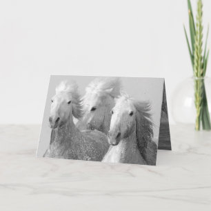Three White Horses Greeting Card