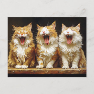 Three White Orange Funny Cats Singing Postcard