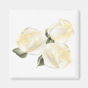 Three White Roses Magnet