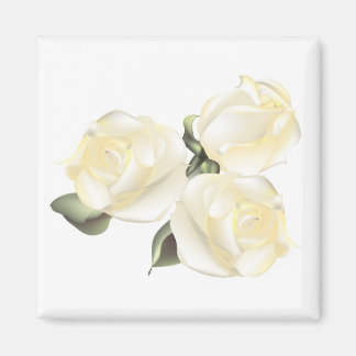 Three White Roses Magnet