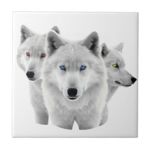 Three White Wolves Ceramic Tile