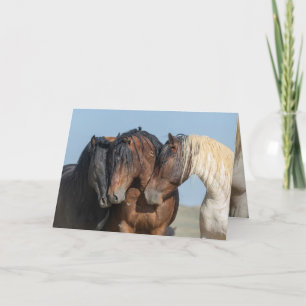 Three Wild Bachelor Stallions Greeting Card