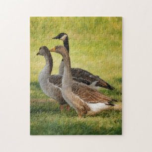 Three Wild Geese Nature Art Puzzle