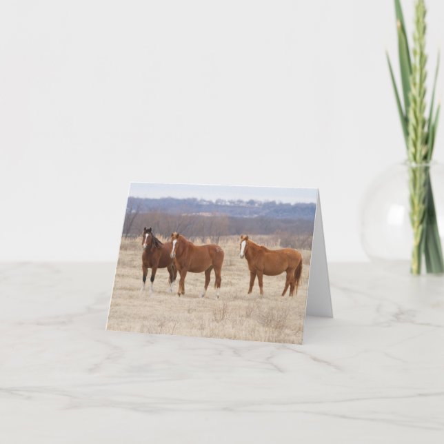 Three Wild Mustangs Thank You Card (Front)