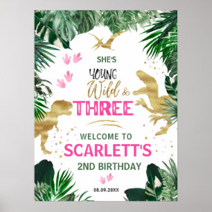  Three Wild Pink T-Rex 3rd Birthday Party Welcome Poster