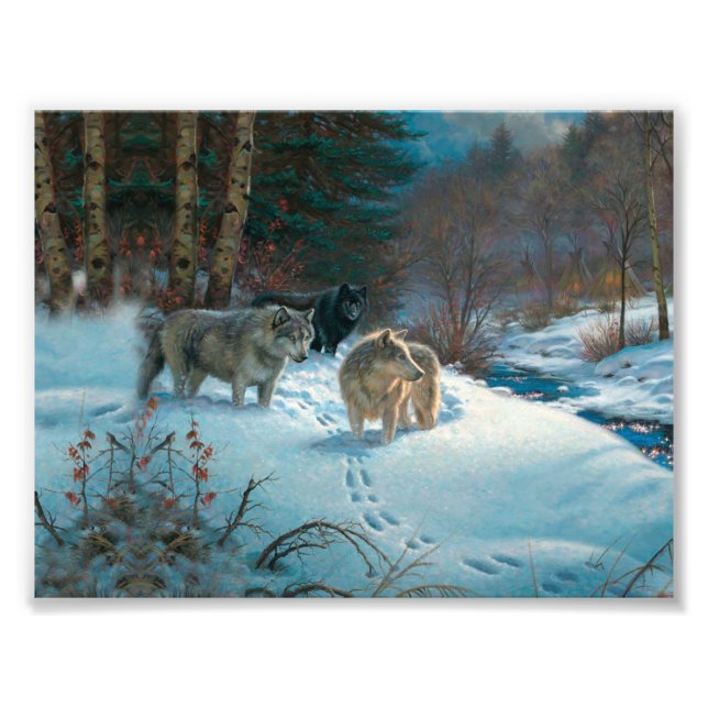three wolves in the Winter Forest Photo Print (Front)
