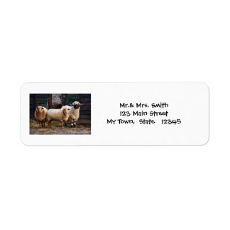 Three Wooley Sheep In A Barn or Farm Return Address Label