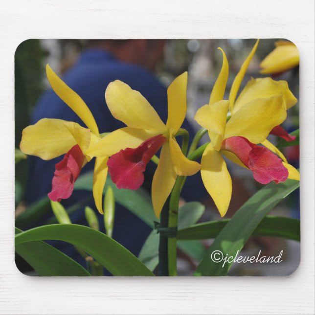 Three Yellow and Red Orchids Mouse Pad (Front)